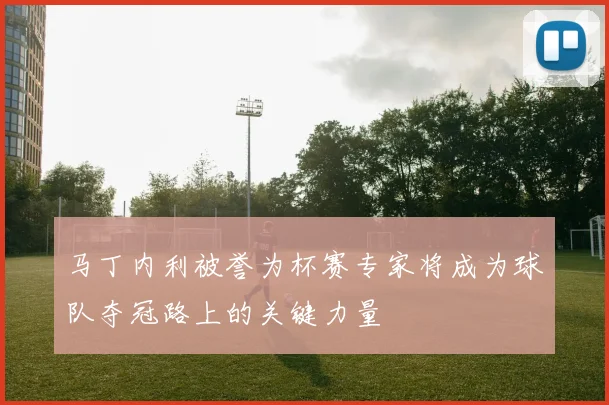 马丁内利被誉为杯赛专家将成为球队夺冠路上的关键力量