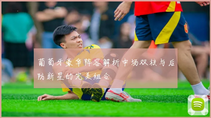 葡萄牙豪华阵容解析中场双核与后防新星的完美组合